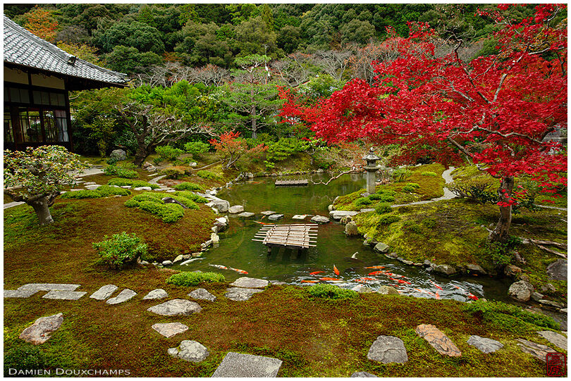Kouun-ji temple pond garden in autumn