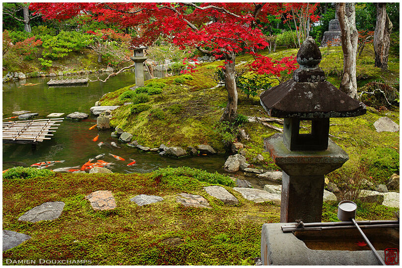 Stone lantern and tsukubai water basin in Kouun-ji temple gardens