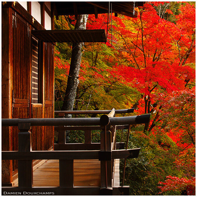 Balcony with autumn colours, Eikan-do temple