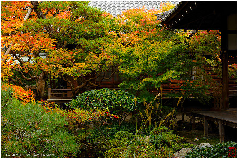 Inner zen garden, Eikan-do temple