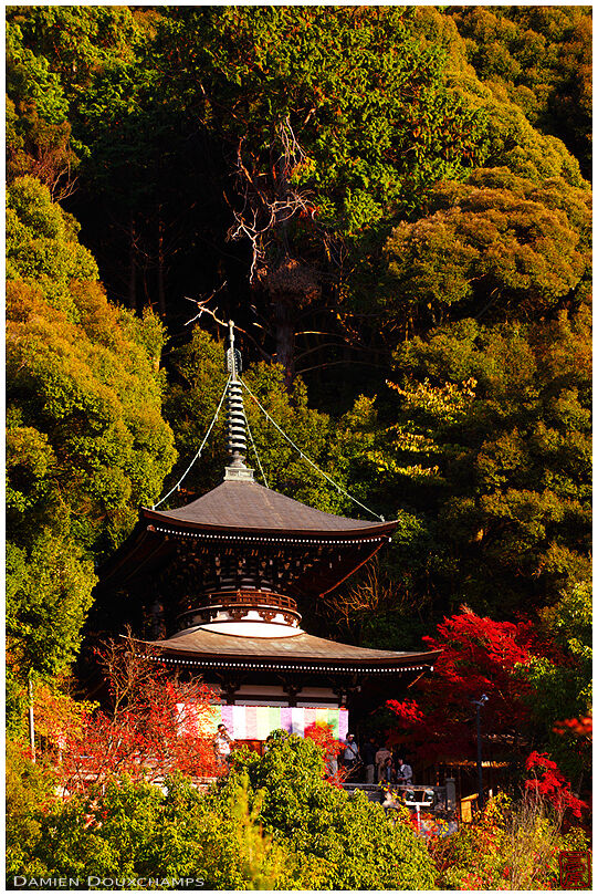 Eikan-do temple pagoda in autumn