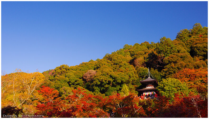 Eikan-do temple pagoda in autumn