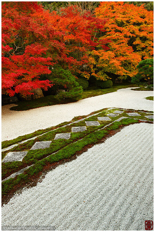 Autumn colours in rock and moss zen garden, Tenju-an temple