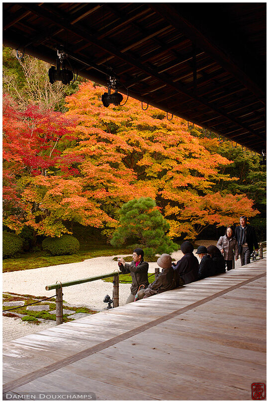 Tourists watching autumn colours in Tenju-an temple gardens