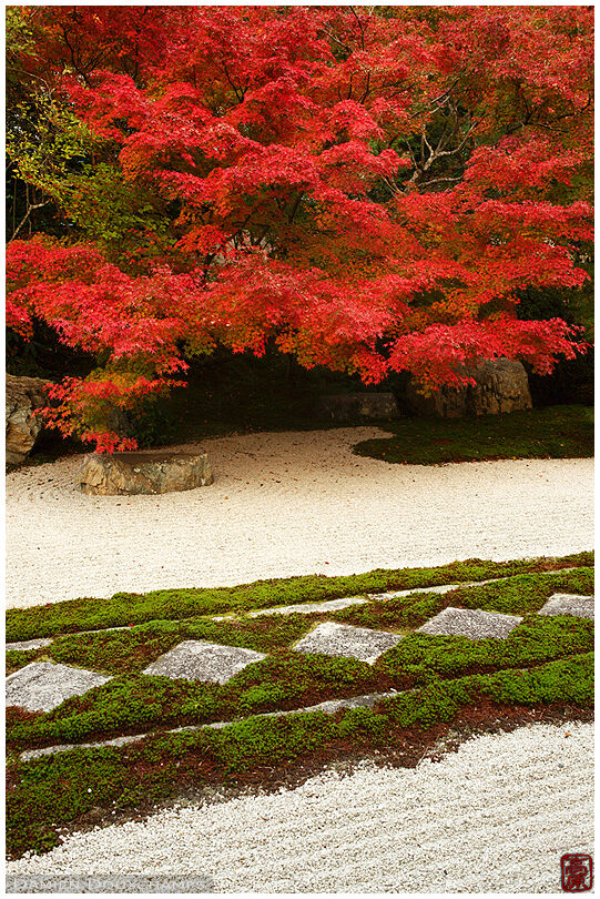 Autumn colours in rock and moss zen garden, Tenju-an temple
