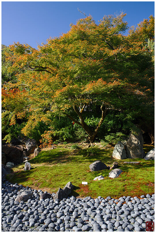 Rock and moss garden, Hongo-in temple