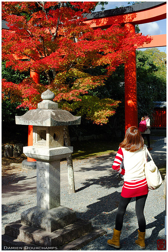 Girl looking at bright ref autumn colours, Tenryu-ji temple