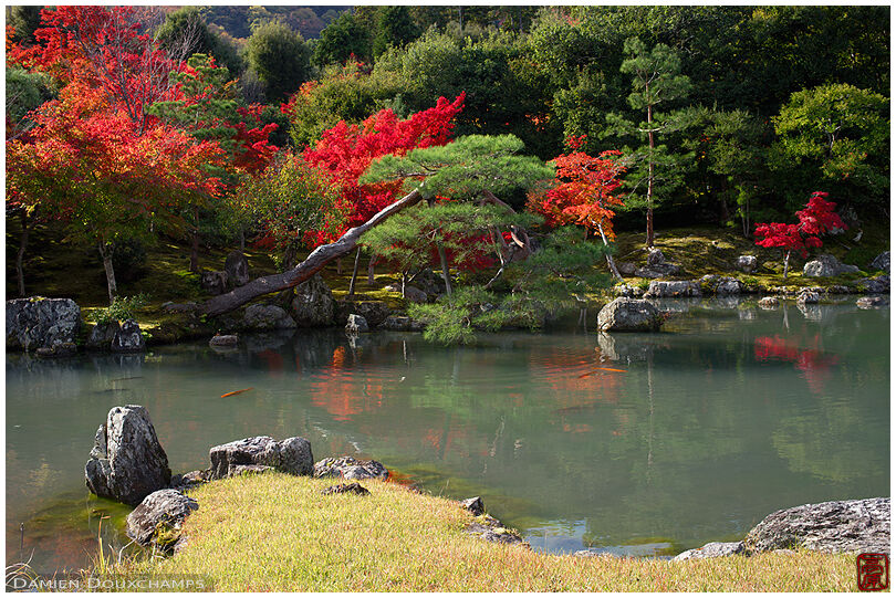 Zen garden pond in autumn, Tenryu-ji temple