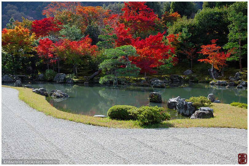 Zen garden pond in autumn, Tenryu-ji temple