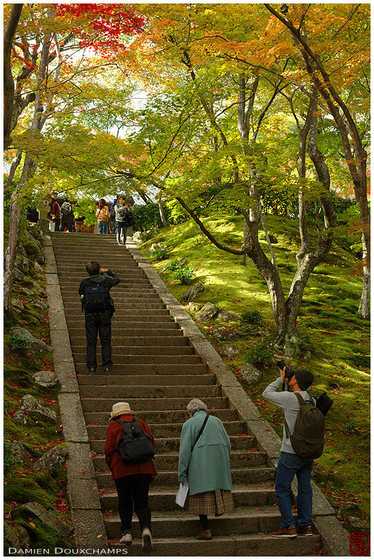 Tourists photographing autumn colours in Jojakko-ji temple