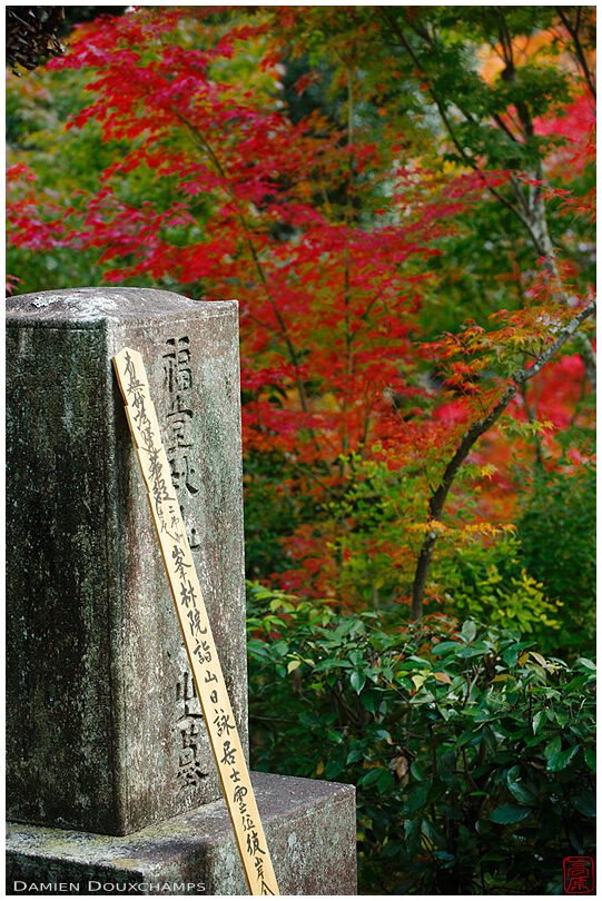 Tombstone in autumn, Jojakko-ji temple