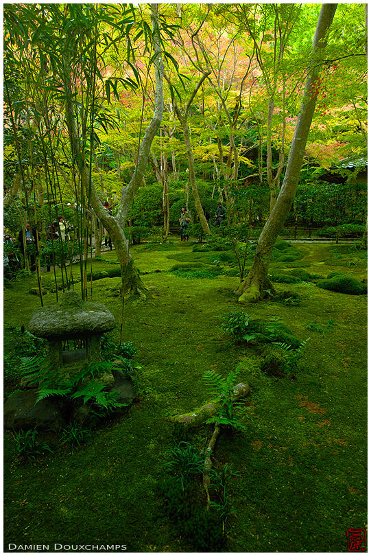Lantern in moss garden, Giyo-ji temple