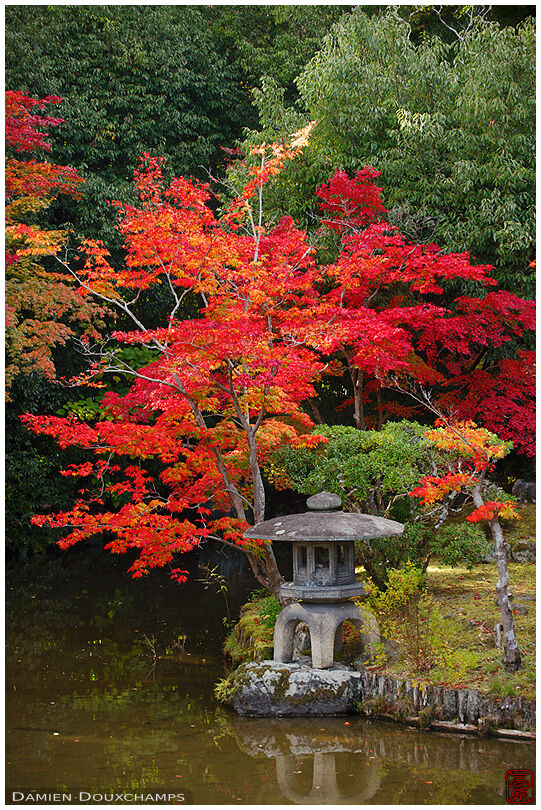 Stone lantern in autumn, Seiryo-ji temple