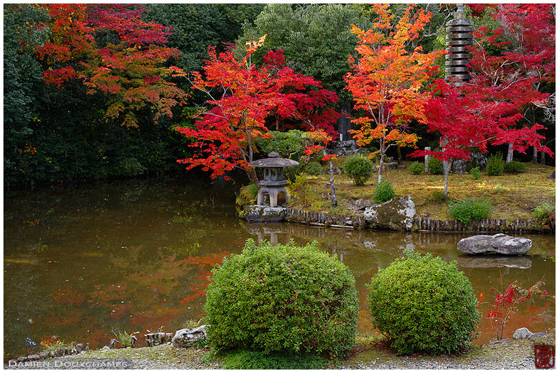 Autumnal colours around zen garden pond, Seiryo-ji temple