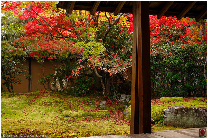 Moss garden in autumn, Seiryo-ji temple