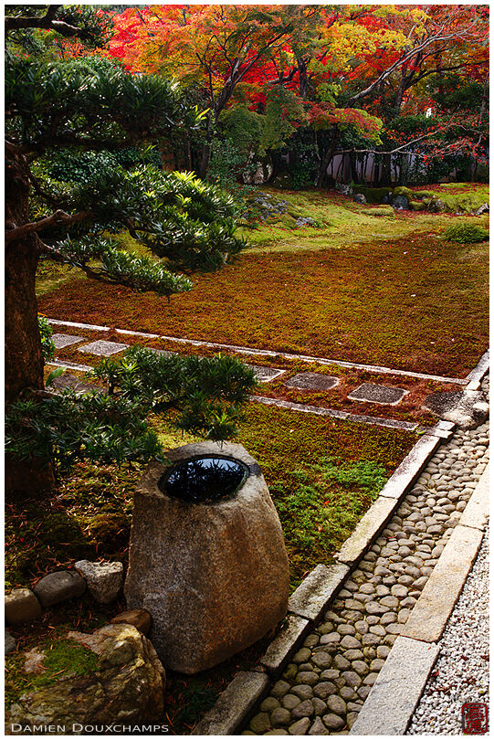 Moss garden in autumn, Seiryo-ji temple