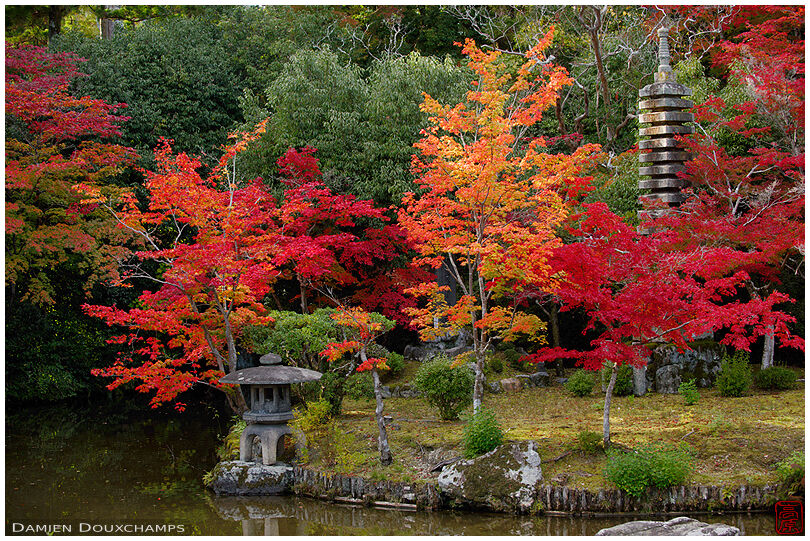 Autumnal colours around zen garden pond, Seiryo-ji temple
