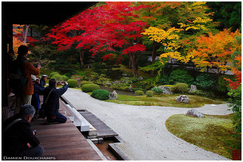 Tourists photographing Senyu-ji temple zen garden in autumn