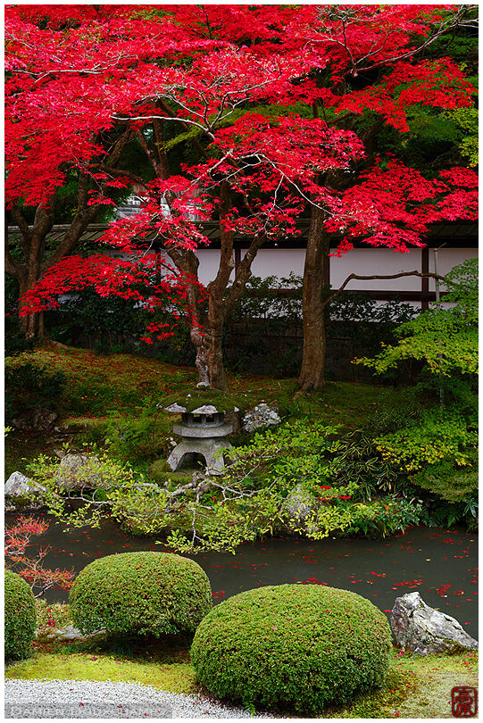Bright autumn colours in zen garden, Senyu-ji temple