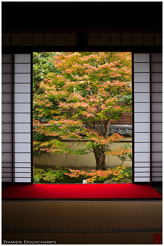 Paper sliding doors opening on zen garden, Unryu-in temple