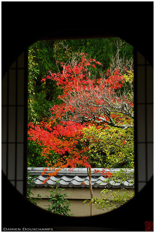 Round window of Enlightenment in autumn, Unryu-in temple