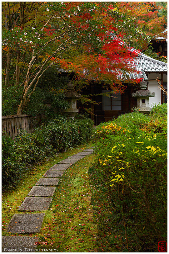 An alley in autumn, Raigo-in temple