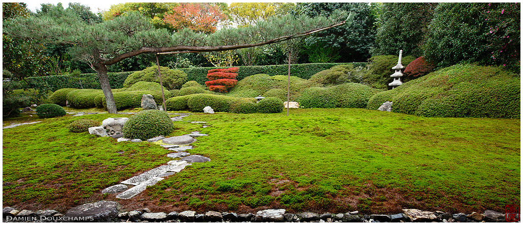 Moss garden with stone lantern, Ikkai-in temple