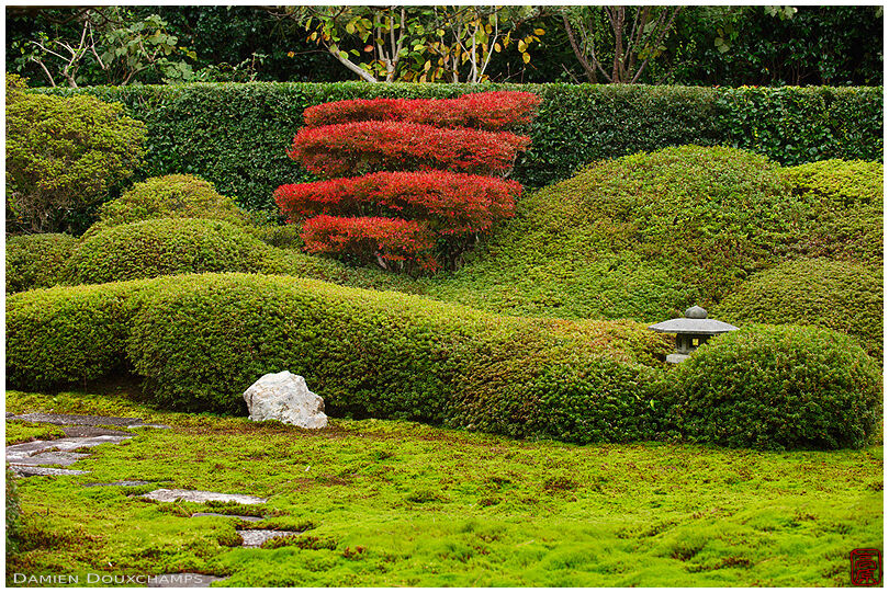 Red bush and stone lantern in Ikkai-in dry landscape garden