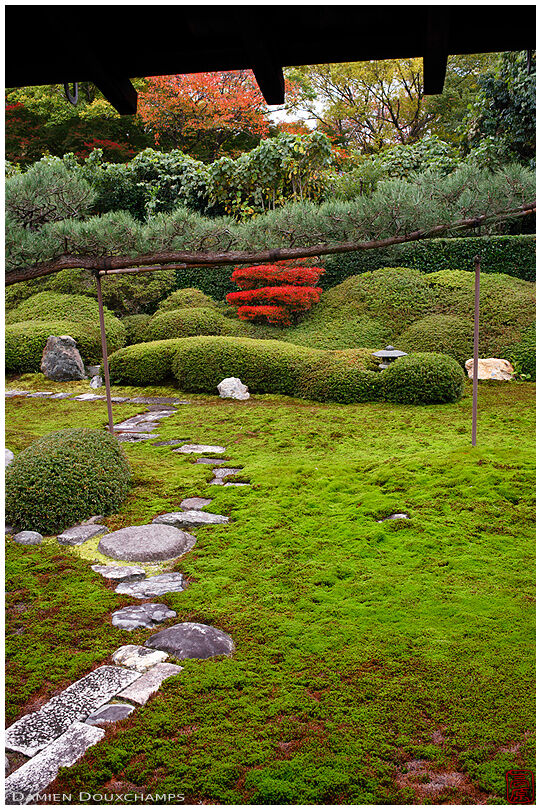 Ikkai-in temple moss garden
