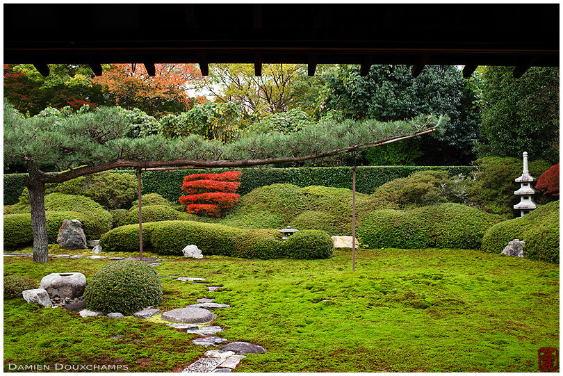 Ikkai-in moss garden in autumn