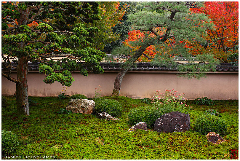 Moss garden in autumn, Tentoku-in temple