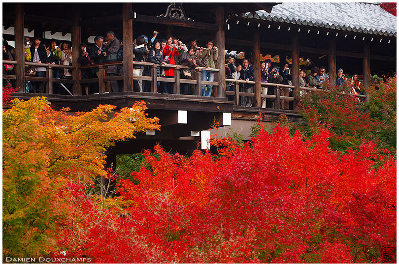 Bridge crowded with tourists enjoying autumn colours, Tofuku-ji temple