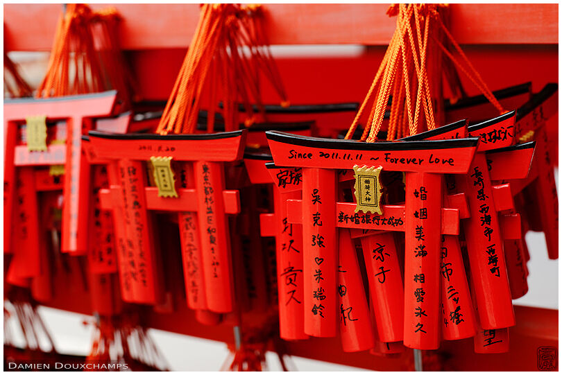 Forever love: red torii as votive offerings in Fushimi Inari Taisha