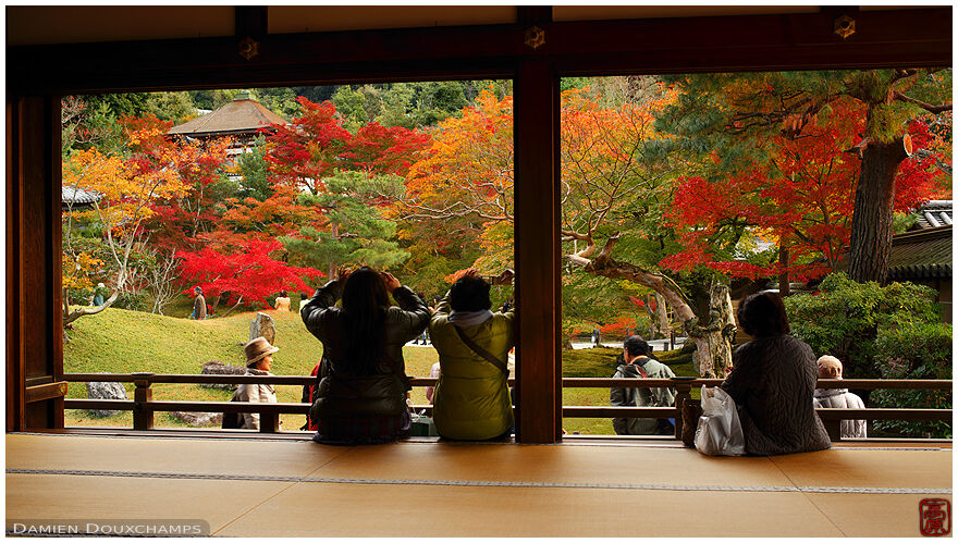 Tourists taking pictures of zen garden in autumn, Kodai-ji temple