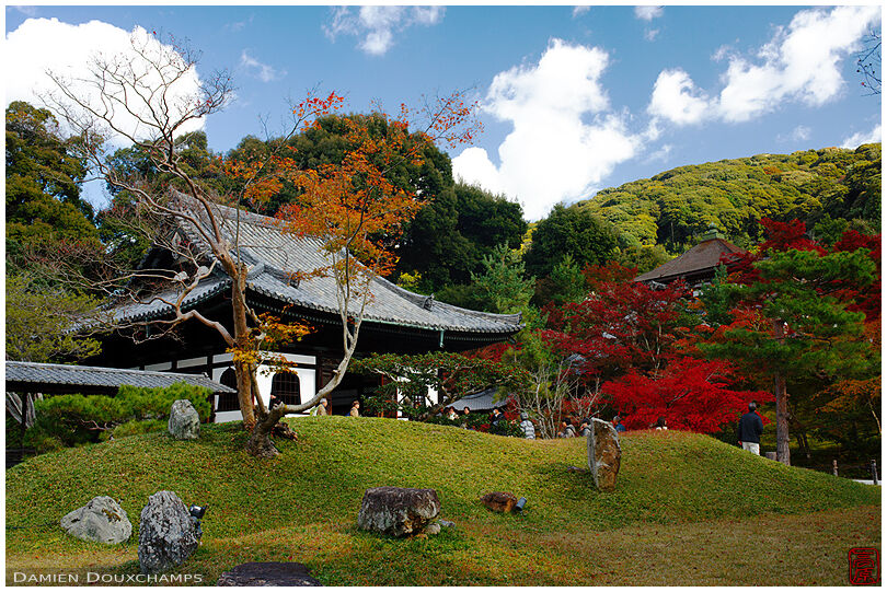 Kodai-ji temple garden in autumn