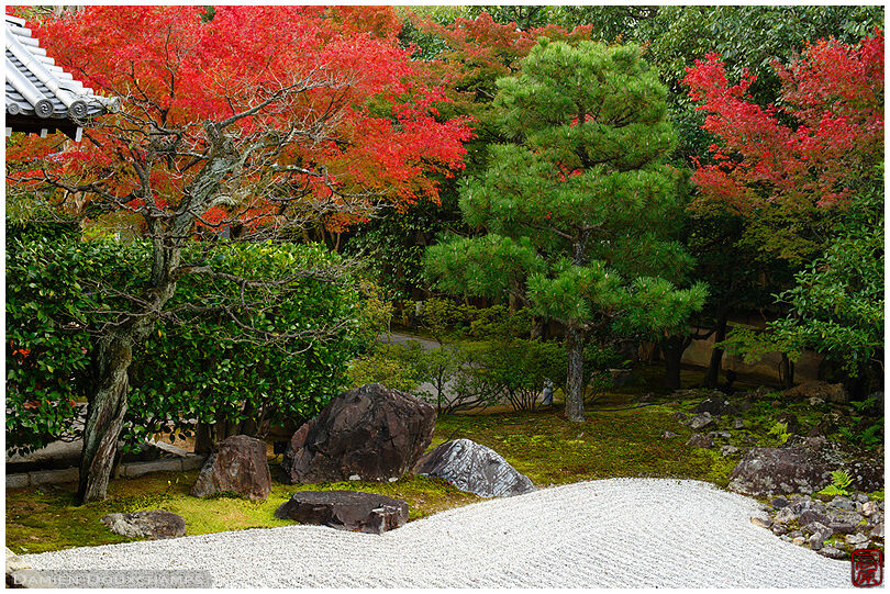 Rock garden in autumn, Entoku-in temple