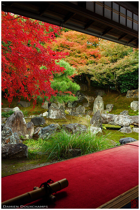 Dry landscape garden in autumn, Entoku-in temple
