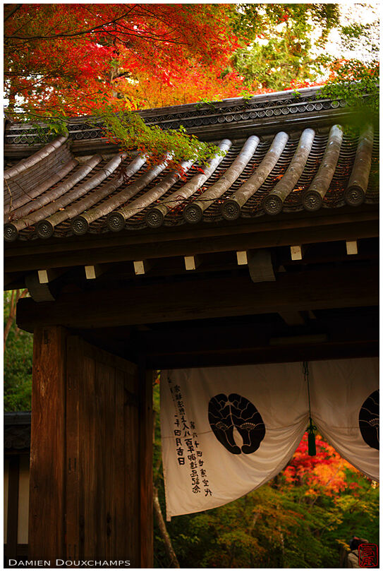 Komyo-ji temple gate in autumn