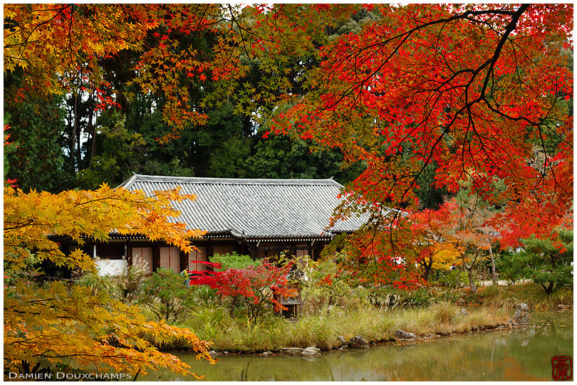 Joruri-ji temple main hall in autumn