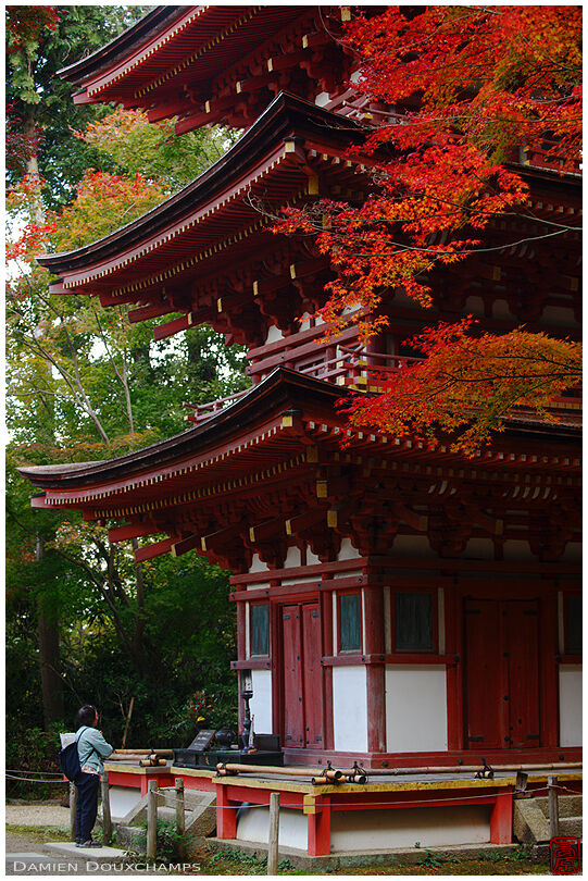 Praying in front of Joruri-ji temple's pagoda