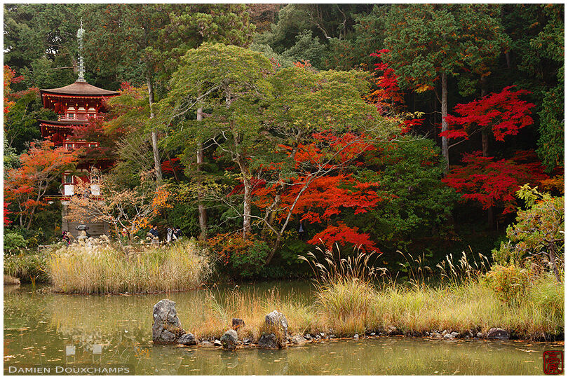 Pagoda and pond in autumn, Joruri-ji temple