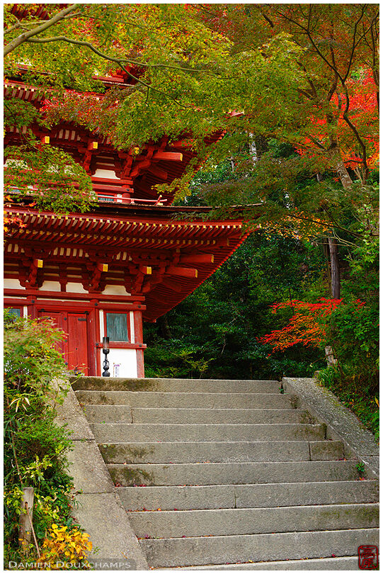 Stairway to red pagoda, Joruri-ji temple