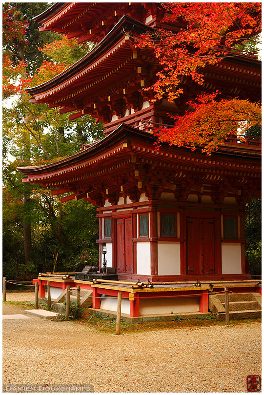 Pagoda in autumn, Joruri-ji temple