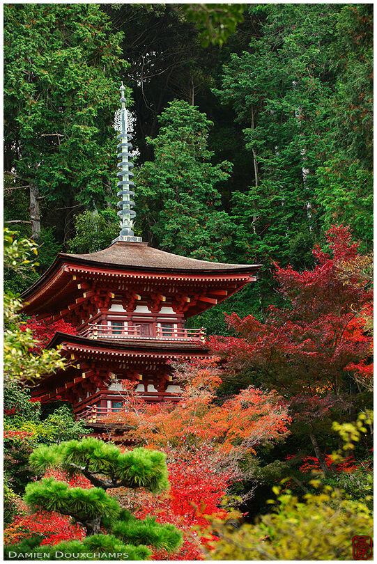 Pagoda in forest, Joruri-ji temple