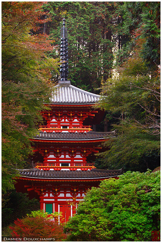 Pagoda in forest, Ganzen-ji temple