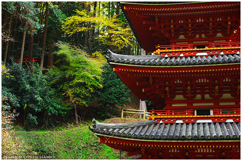 Red pagoda and red torii, Ganzen-ji temple