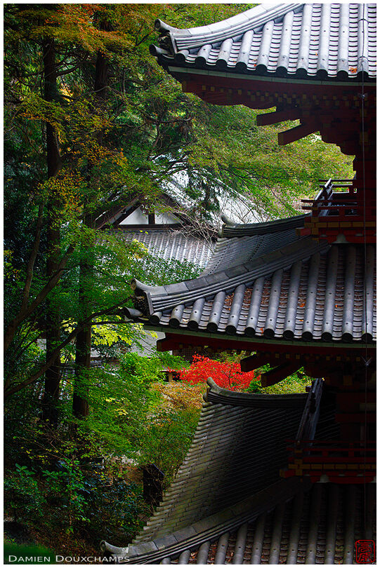 Pagoda roofs in forest, Ganzen-ji temple