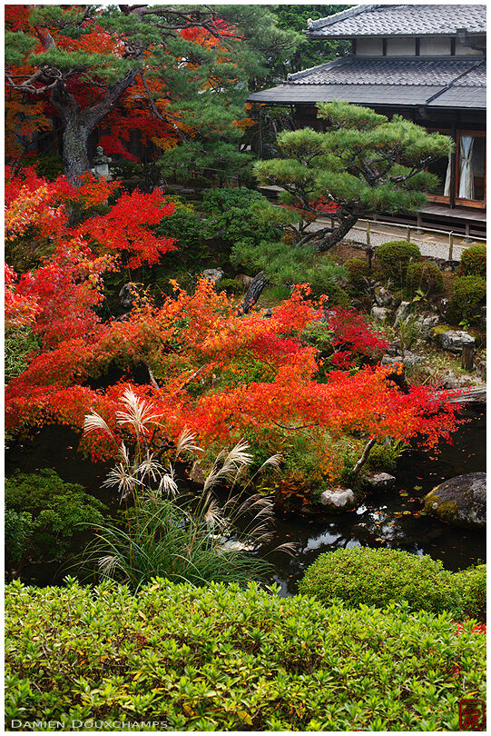 Yoshiki-en's gardens in autumn
