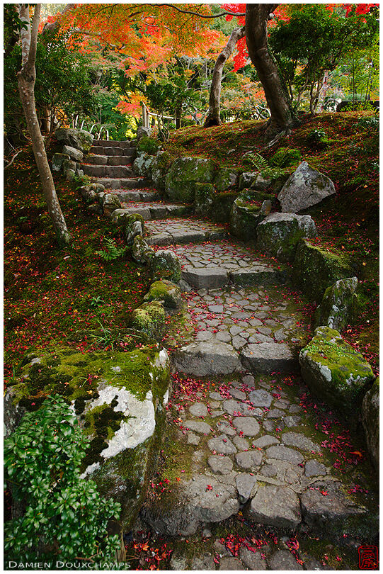 Stairs in moss garden, Yoshiki-en