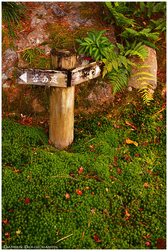 Marker in moss, Yoshiki-en gardens